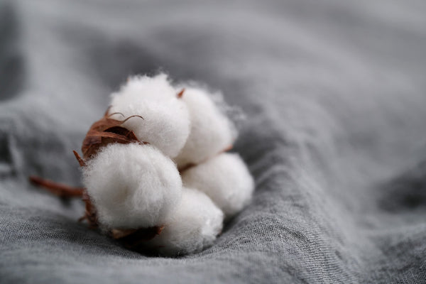 El algodón orgánico, la alternativa al algodón convencional